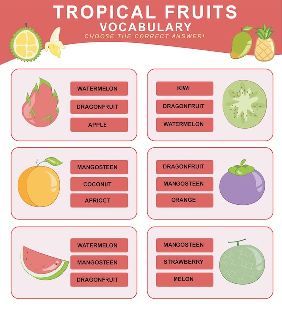 Scegli la risposta corretta. vocabolario dei frutti tropicali. foglio di lavoro per la scuola materna. archivio vettoriale.