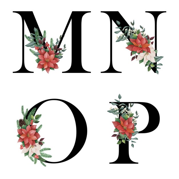 Vector christmas alphabet red poinsettia letter m to p with christmasred flower bouquet composition.