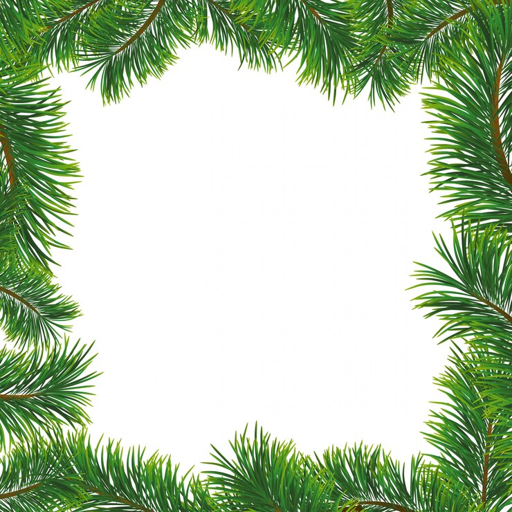 Vector christmas background with fir branches. frame and copyspace