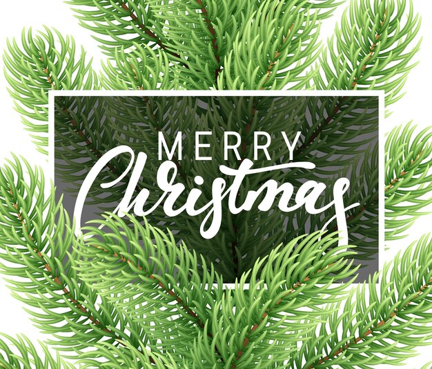 Christmas background with fir branches. Merry Christmas Greeting card and banner. Vector illustration