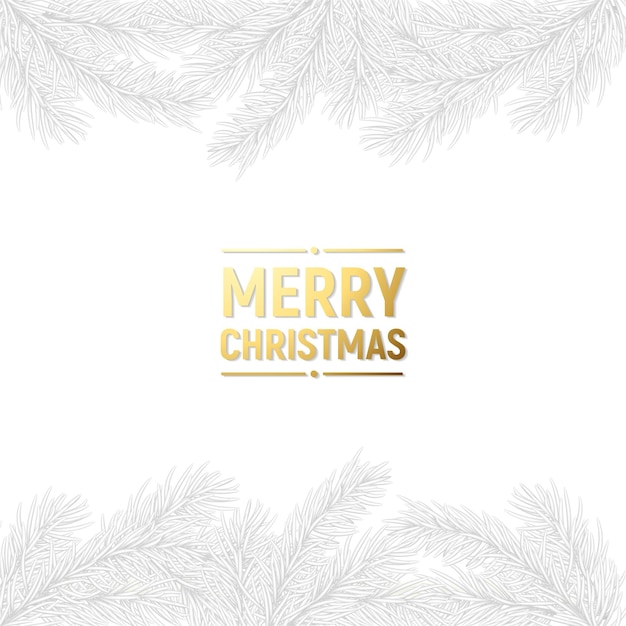 Christmas background with white fir branches Vector