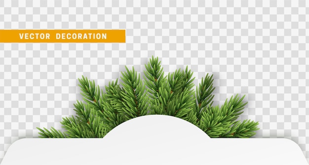 Christmas banner design with green realistic pine branches.