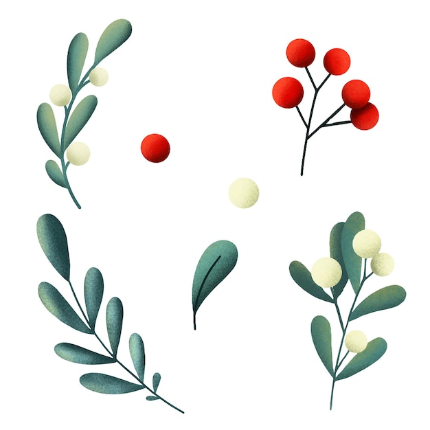 Christmas berries and green leaves arrangings set Handpainted elements suitable for decorative