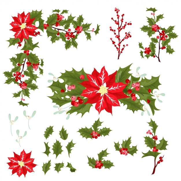 Vector christmas berry flower vector illustration.