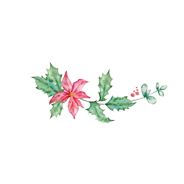 Christmas bouquet with poinsettia, and holly - watercolor illustration.