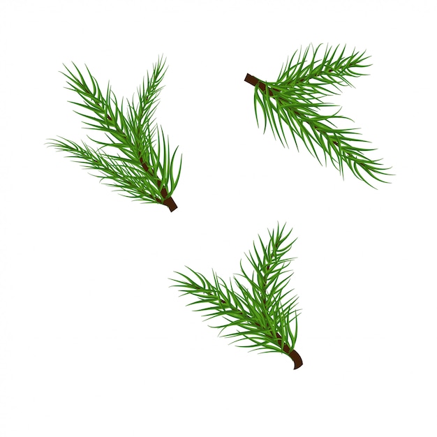 Christmas branches Vector