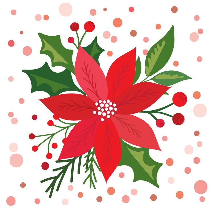 Vector christmas card with beautiful poinsettia,  