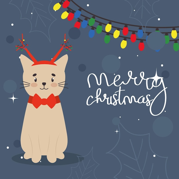 Christmas cat card