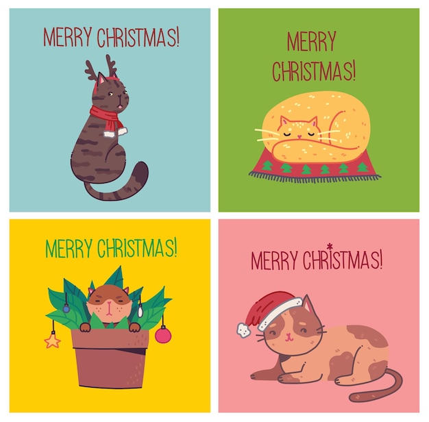 クリスマスの猫、ニットの帽子、セーター、スカーフなどのアクセサリーとかわいい猫のメリークリスマスのイラスト