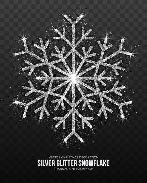 Vector christmas decoration silver snowflake