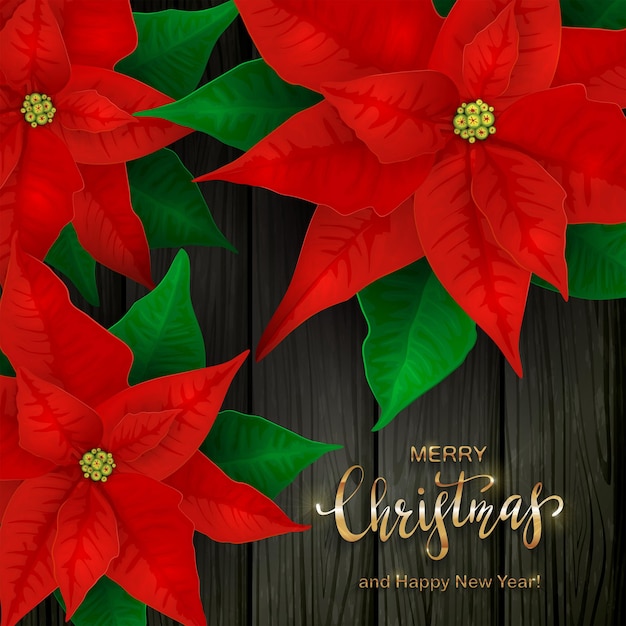 Premium Vector | Christmas decorations red poinsettia. holiday ...