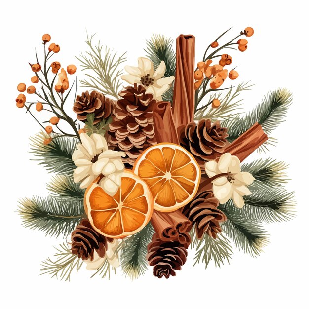 Christmas_decorations_with_dried_orange_spruce vector