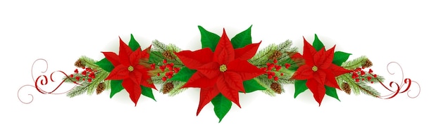 흰색 배경에 격리된 붉은 포인세티아, 전나무 나뭇가지, 깃발이 있는 크리스마스 장식. 일러스트레이션은 휴일 디자인, 카드, 초대장, 엽서 및 배너에 사용할 수 있습니다.