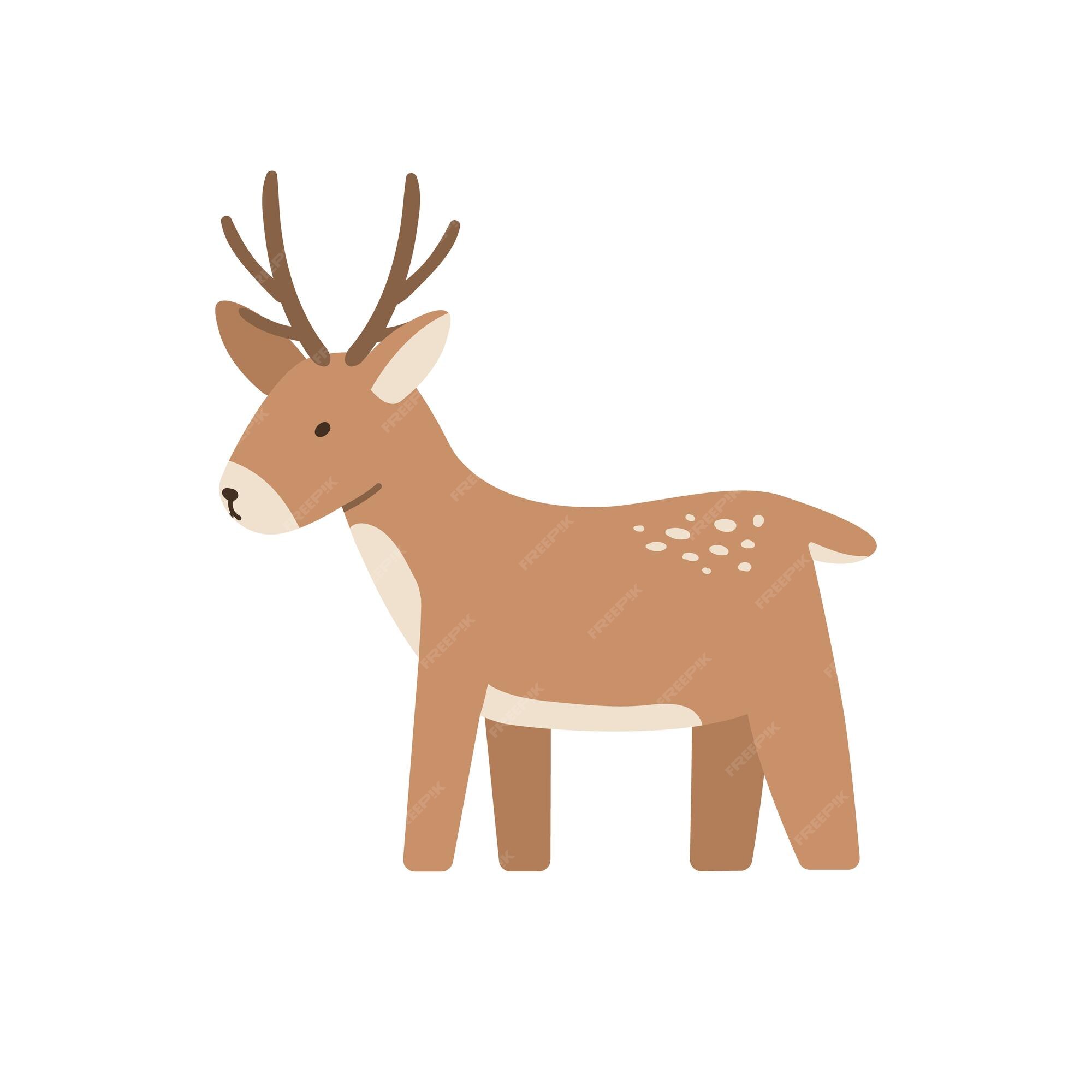 Premium Vector | Christmas deer isolated on white background. reindeer  cartoon vector illustration