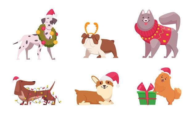 Christmas dogs funny domestic animals puppy in sweater and scarf preparing to new year holiday winter clothes for dogs exact vector cartoon characters