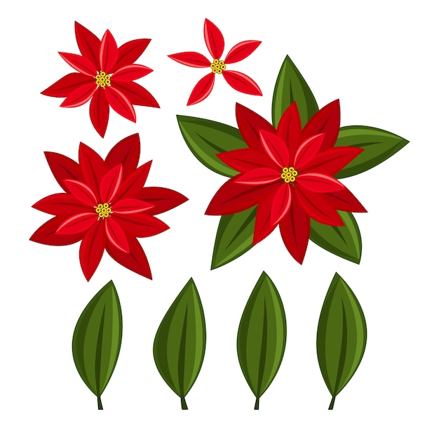 Vettore elementi di natale con set di fiori di natale poinsettia.