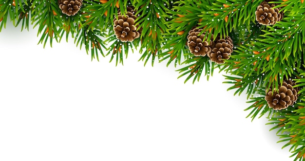 Christmas fir frame with pine cones vector