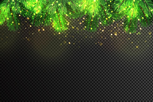 Vector christmas fir tree branches and golden sparkles