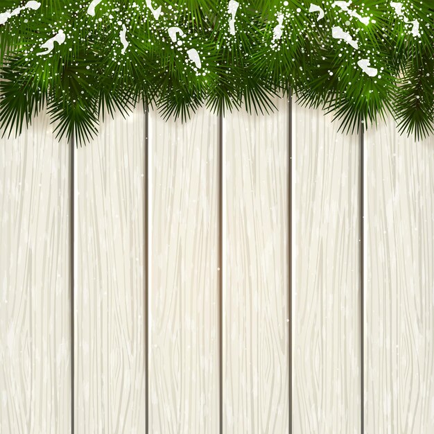 Christmas fir tree branches on white wooden background