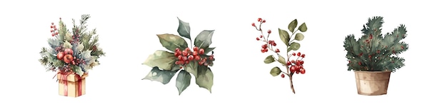 Christmas floral watercolor illustration Xmas party decoration hand drawn vector