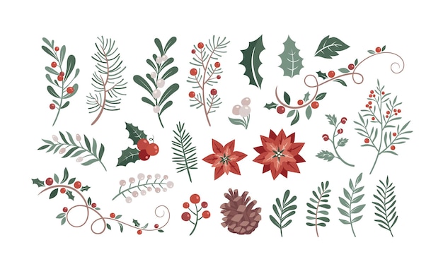 Christmas Foliage Clipart and Christmas Tree Branch Elements