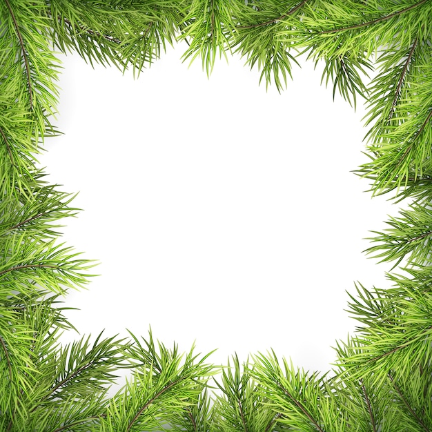 Christmas frame with pine branches and shadow isolated on white.