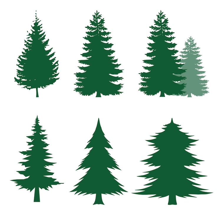 Vector christmas graphic holiday decor cute party element