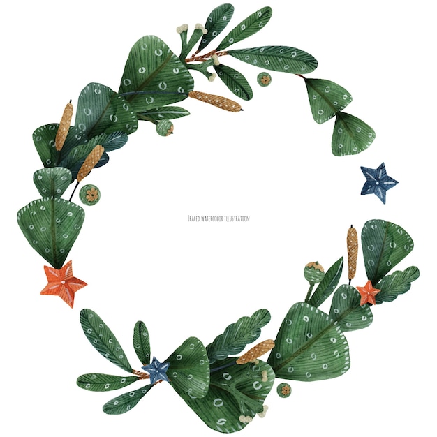 Vector christmas green plants and reeds wreath