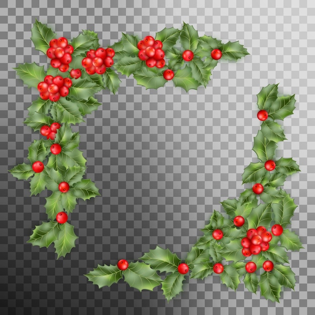 Vector christmas holly branch corner with berry on transparent background.