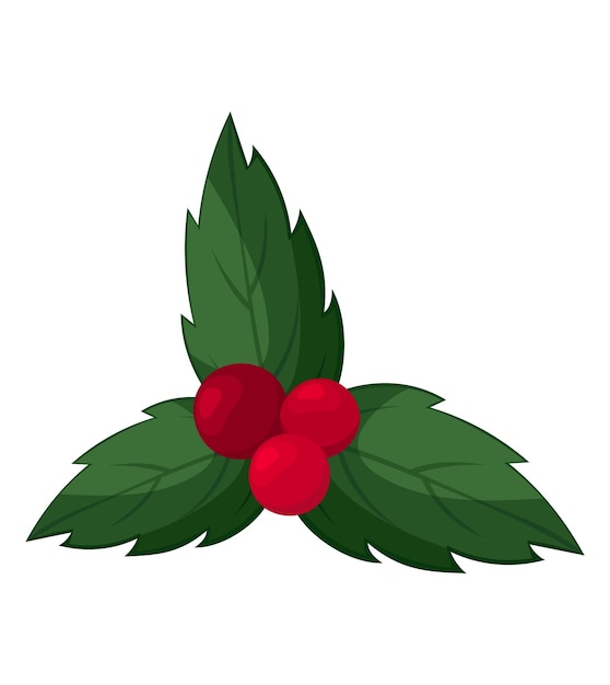 Christmas holly flower. Green leaves. Red berries. Holiday. Isolated on a white. Vector element.