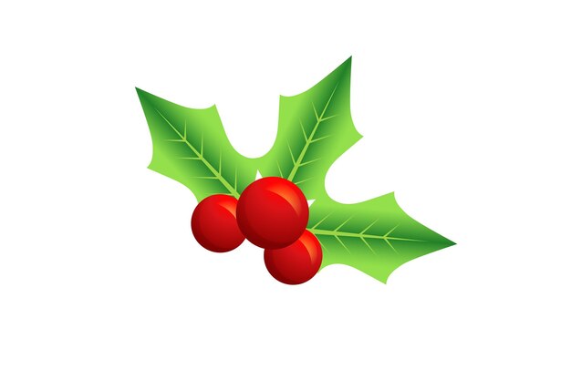 Vector christmas hollyberry with leaves sticker design