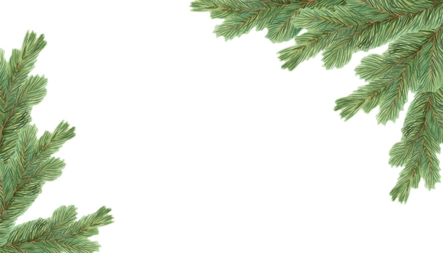 クリスマス フレーム アクアカラーとマーカーで描いたイラスト 植物学 冬の装飾 杉の緑の枝 2025年の新年の登録 孤立した手作り
