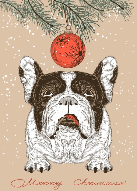 Vector christmas illustration of french bulldog