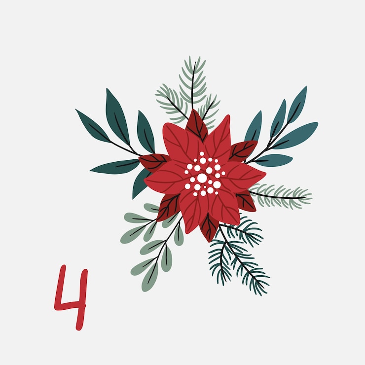 Vector christmas illustration with poinsettia flower and numbers for advent calendar