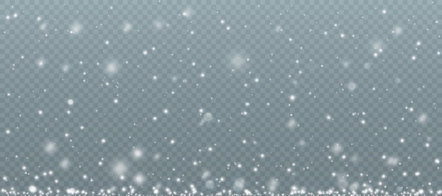 Christmas light effect. Shiny magical dust particles. White png light dust. light bokeh raider