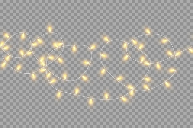 christmas lights isolated on transparent background set of golden christmas glowing garlands vector illustration