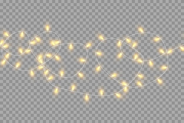 Christmas lights isolated on transparent background Set of golden Christmas glowing garlands Vector illustration