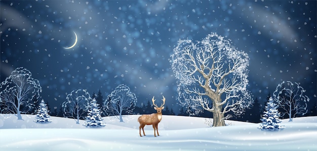 Vector christmas night winter background