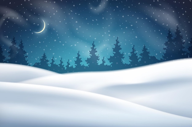 Vector christmas night winter background