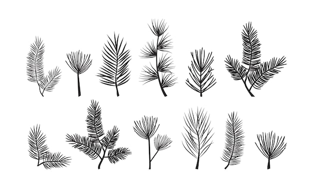 Vector christmas pine branch evergreen tree fir and spruce cedar twig vector icon winter plants new year