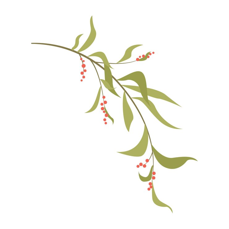 Vector christmas plant with green leaves and red berries. decor for christmas and new year. festive vector
