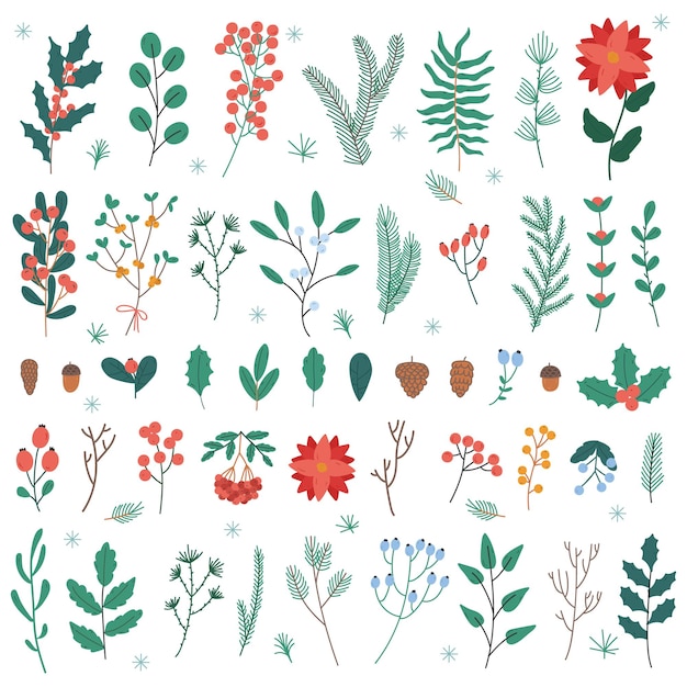 Christmas plants and flowers. Xmas and New Year winter holidays decoration leaves, flowers and berries vector illustration set. Christmas floral elements flower and berry isolated for card