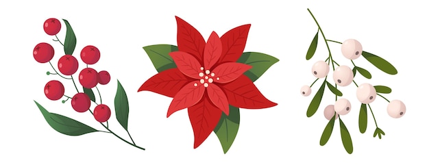 Vector christmas plants and flowers