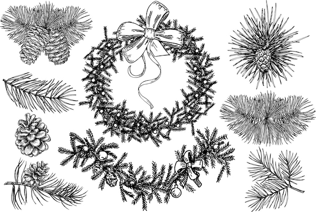크리스마스 식물 스케치 세트. 크리스마스 트리와 소나무의 가지. 크리스마스 트리 화환 및