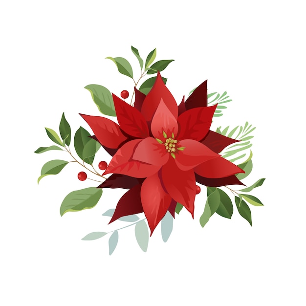 Christmas poinsettia flowers, red leaves.