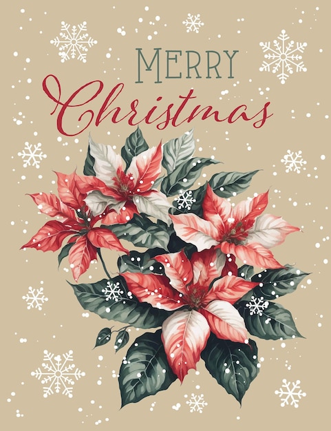 Christmas Poinsettia Isolated with Merry Christmas Wordings with Snowflakes