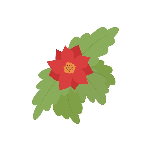 Christmas red flower with green leaves Decor for Christmas and New Year. Festive vector illustration