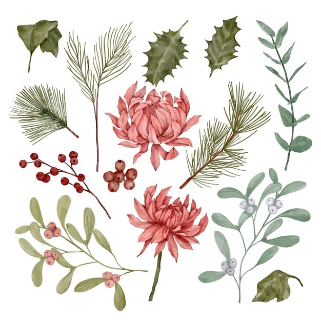 Vector christmas set of flowers and leaves