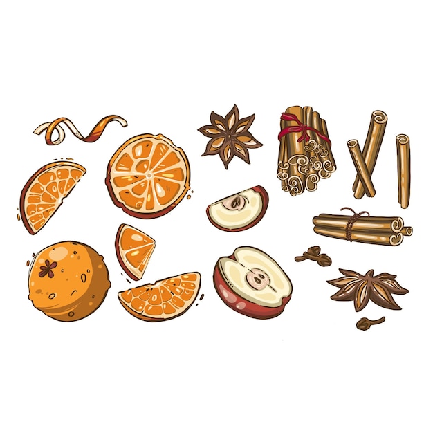 Christmas spices star anise and apple illustration