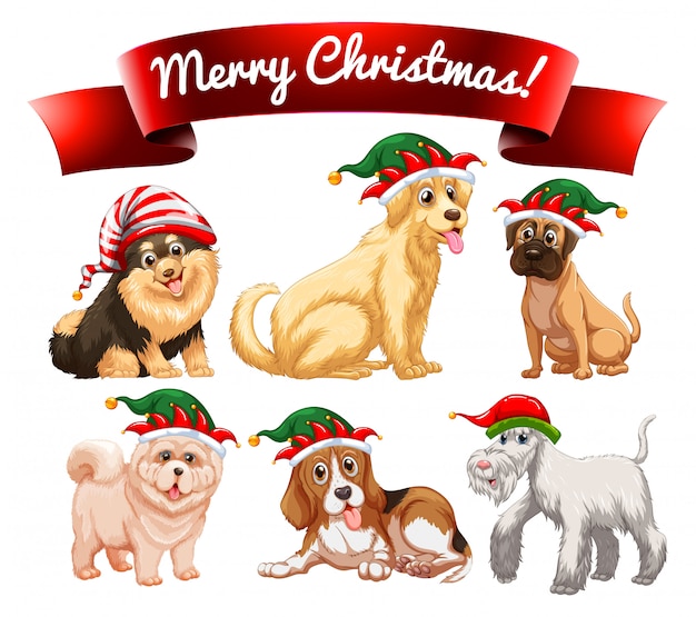 Vector christmas theme with many dogs